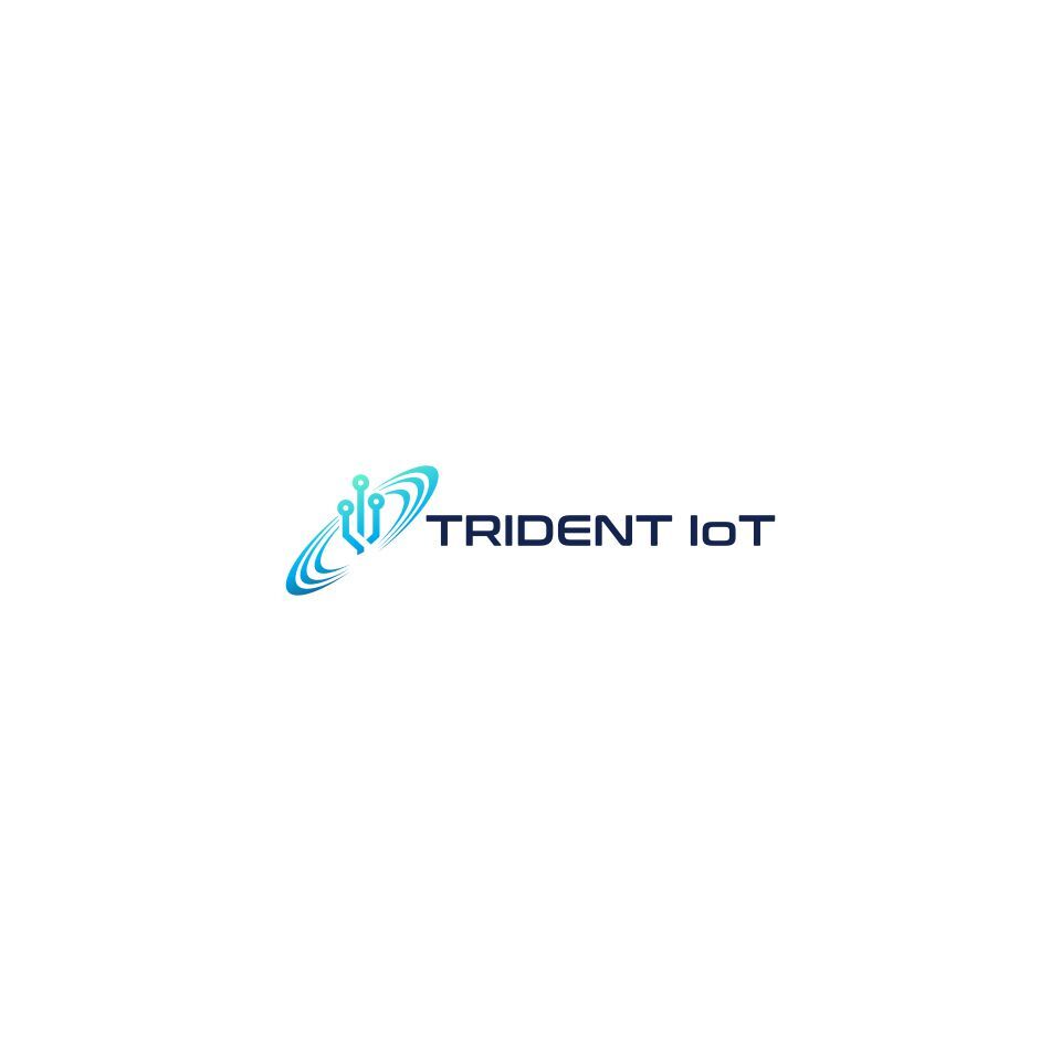 Trident IoT, LLC